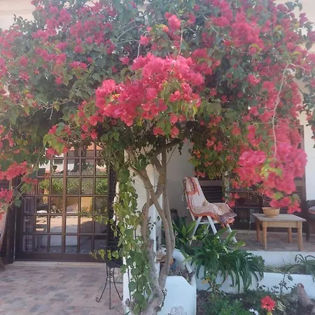 Casa 19 * البوفيرا