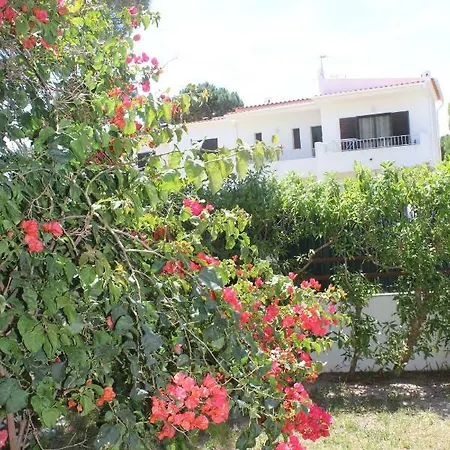 Casa 19 Homestay *