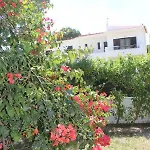 Casa 19 Δωμάτια σε οικογενειακή κατοικία *