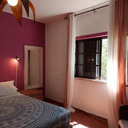 Casa 19 *