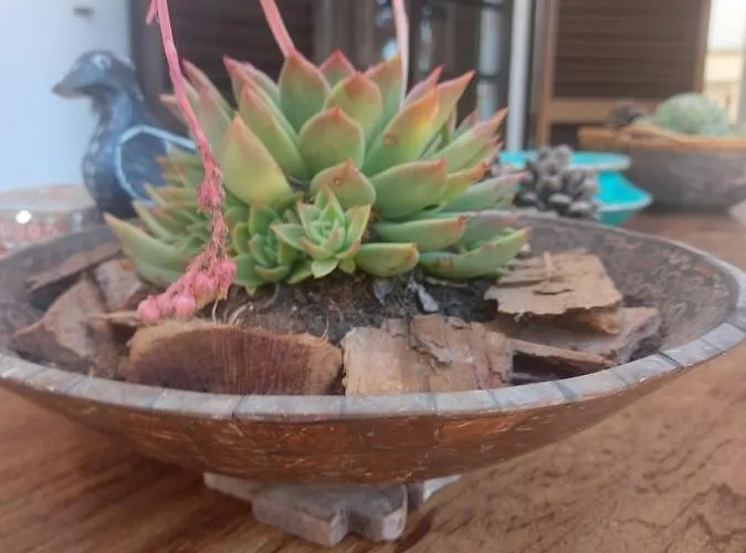 Casa 19 Privat bolig