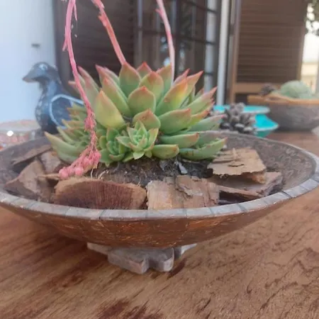 Casa 19 בית אירוח