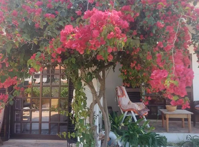 Casa 19 * 알부페이라